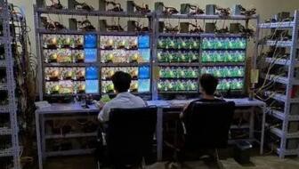 手机上什么游戏可以搬砖？揭秘热门搬砖游戏及收益策略