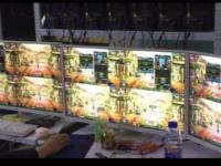 适合PC游戏搬砖兼职副业门槛分析