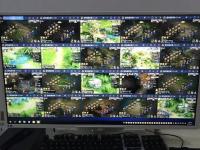 传奇世界3D手游搬砖：揭秘高效收益之路