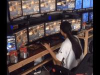 新出PC游戏搬砖兼职副业门槛：揭秘低成本高回报的赚钱之道